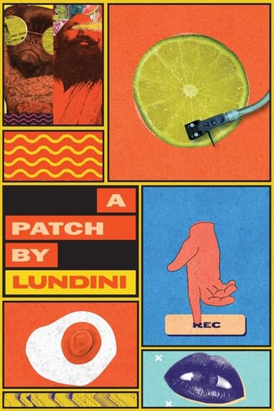 A Patch by Lundini (2020)