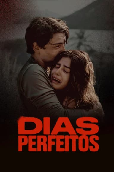 Perfect Days (2025)