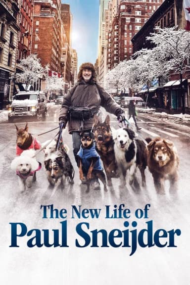The New Life of Paul Sneijder (2016)