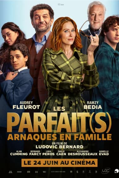 Les Parfait(s) : Arnaques en Famille (2026)