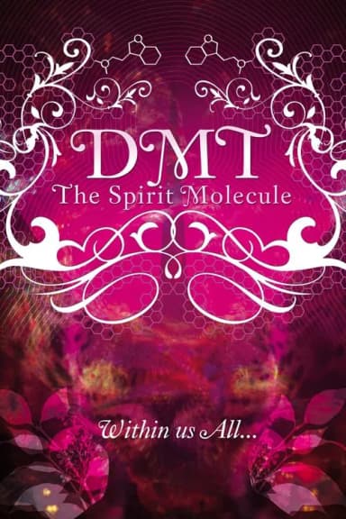 DMT: The Spirit Molecule (2010)