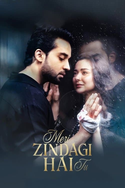 Meri Zindagi Hai Tu (2025)