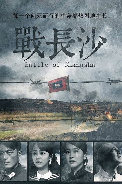 Battle of Changsha (2014)