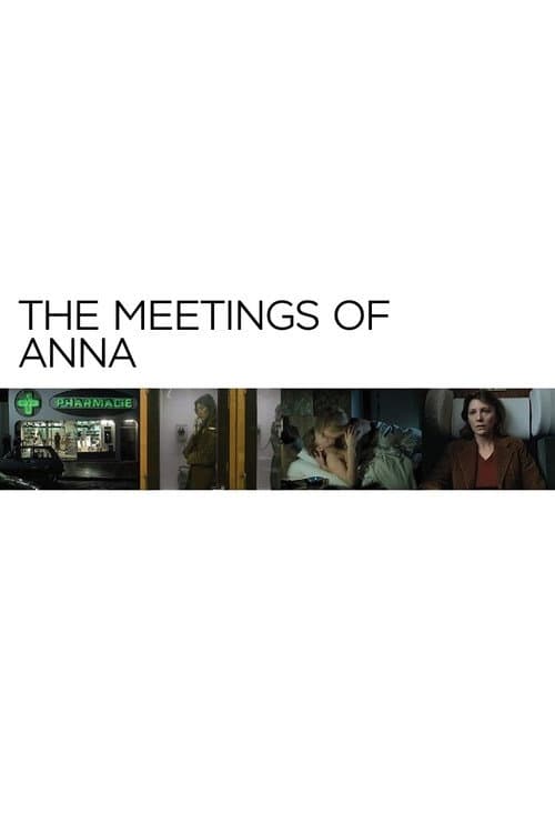 The Meetings of Anna (1978)