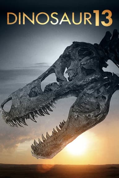 Dinosaur 13 (2014)