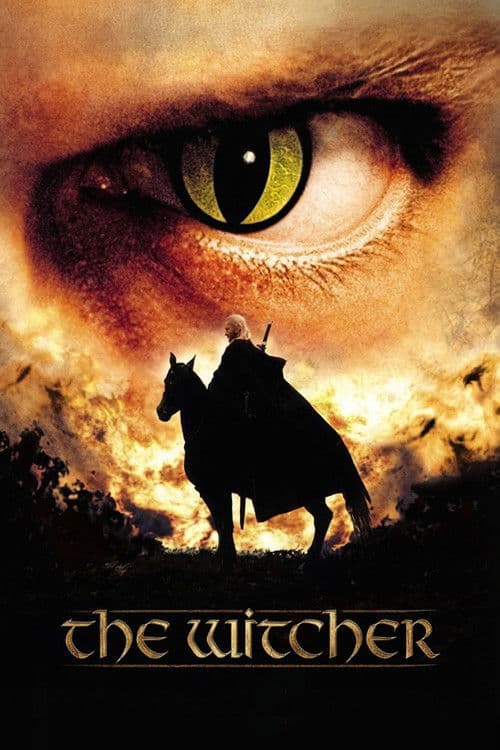 The Witcher (2002)