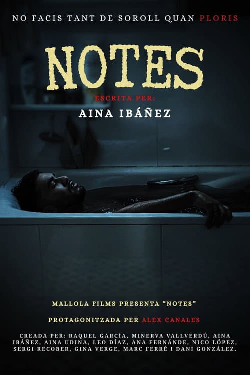 Notes (2026)