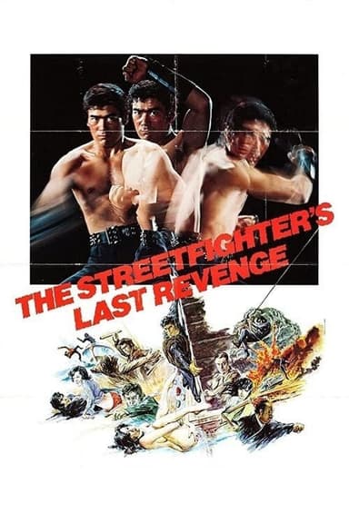 The Street Fighter's Last Revenge (1974)