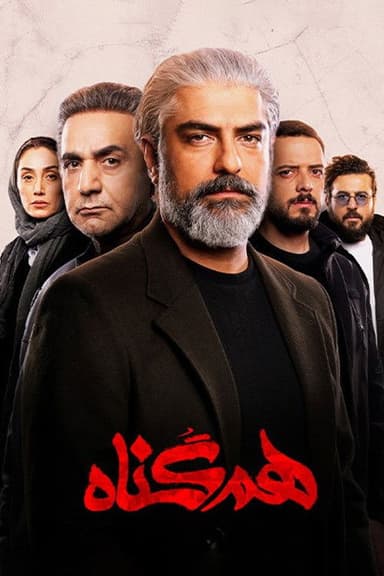 The Accomplice (2020)