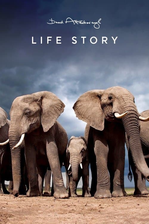 Life Story (2014)