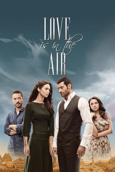 Love Is in the Air (2010)