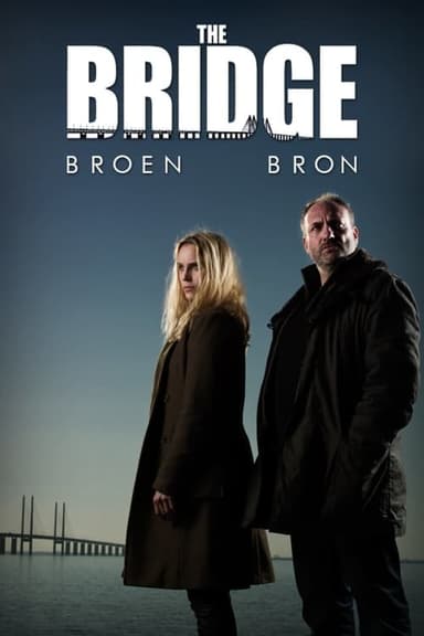 The Bridge (2011)