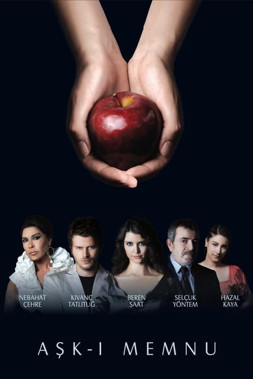 Forbidden Love (2008)
