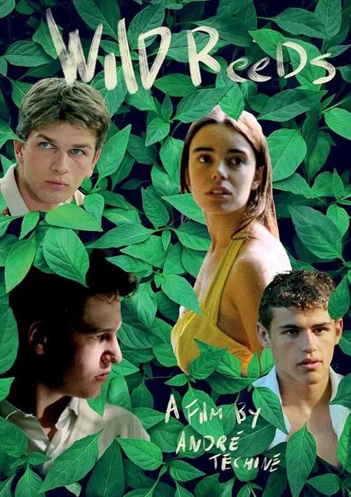 Wild Reeds (1994)