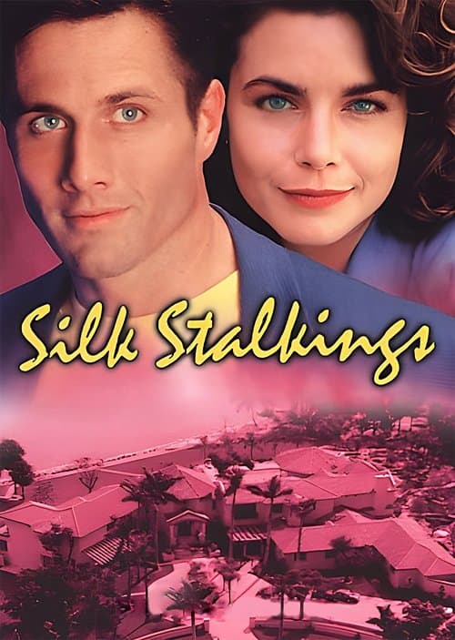 Silk Stalkings (1991)