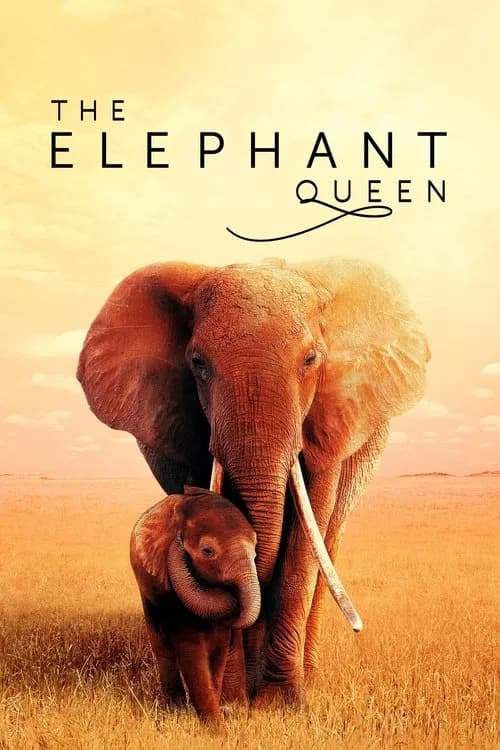 The Elephant Queen (2019)