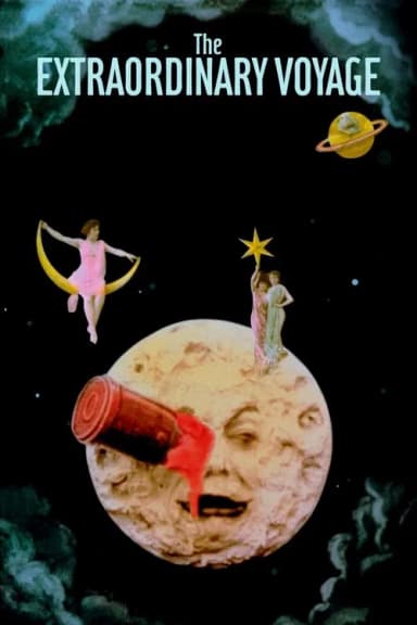 The Extraordinary Voyage (2011)