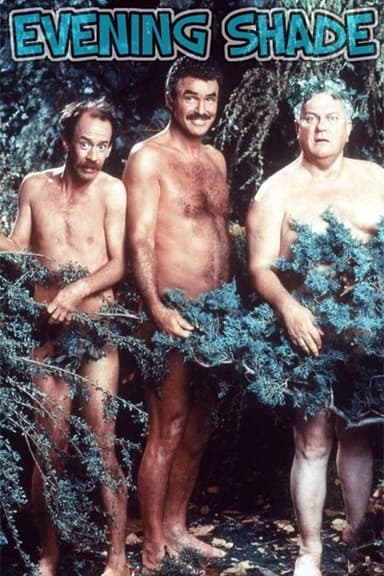 Evening Shade (1990)