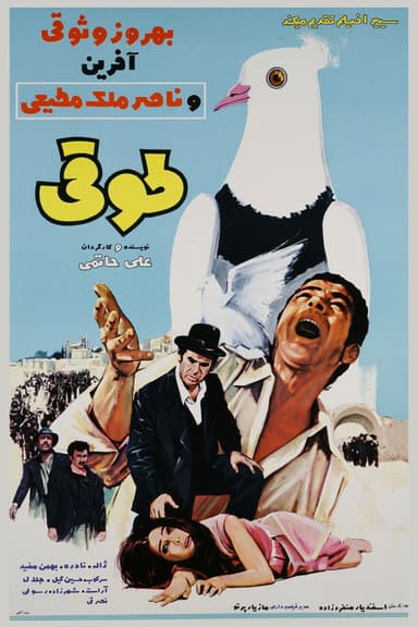The ring-necked dove (1970)