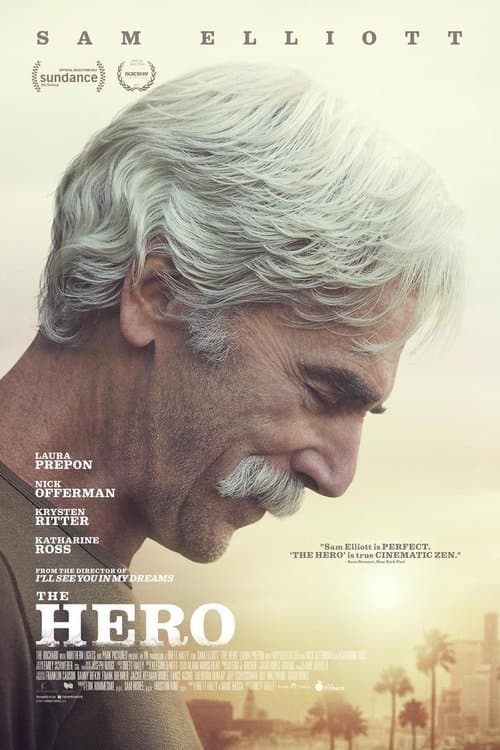 The Hero (2017)