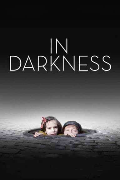 In Darkness (2011)