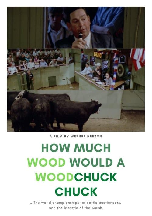 How Much Wood Would a Woodchuck Chuck (1976)
