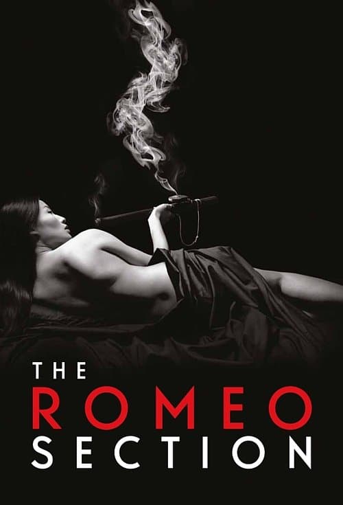 The Romeo Section (2015)