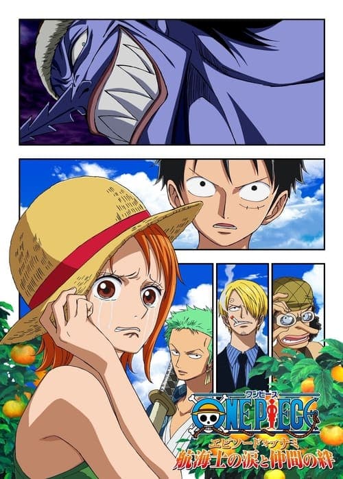 One Piece Episode of Nami: Tears of a Navigator and the Bonds of Friends (2012)